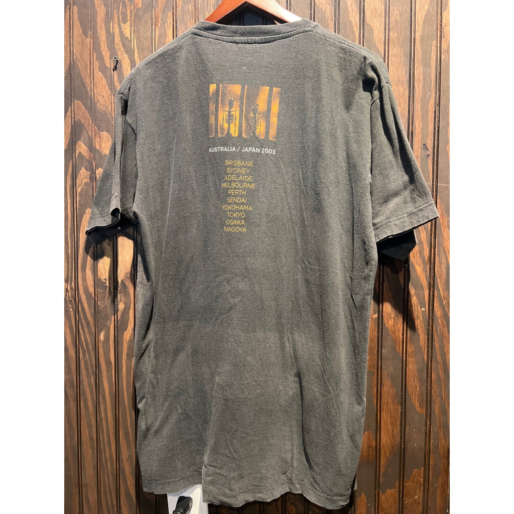 Vintage Pearl Jam Riot Act 2003 Australia Japan Tour Shirt Acme Faded Black L