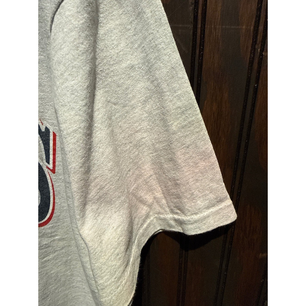 Vintage Salem Sportswear Minnesota Twins MLB T-Shirt XXL Graphic Gray Mens L