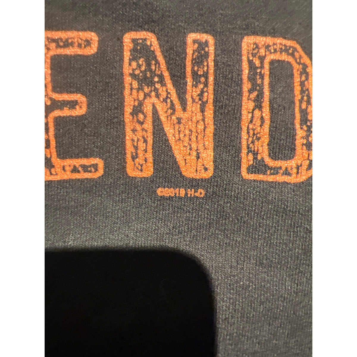 Harley-Davidson Legendary Route 30 Graphic Sweatshirt Faded Black Orange L