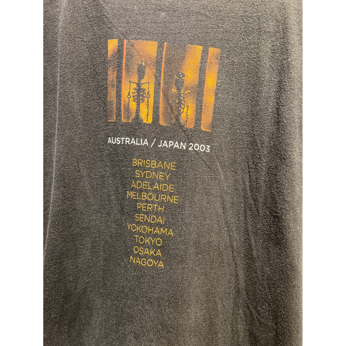 Vintage Pearl Jam Riot Act 2003 Australia Japan Tour Shirt Acme Faded Black L