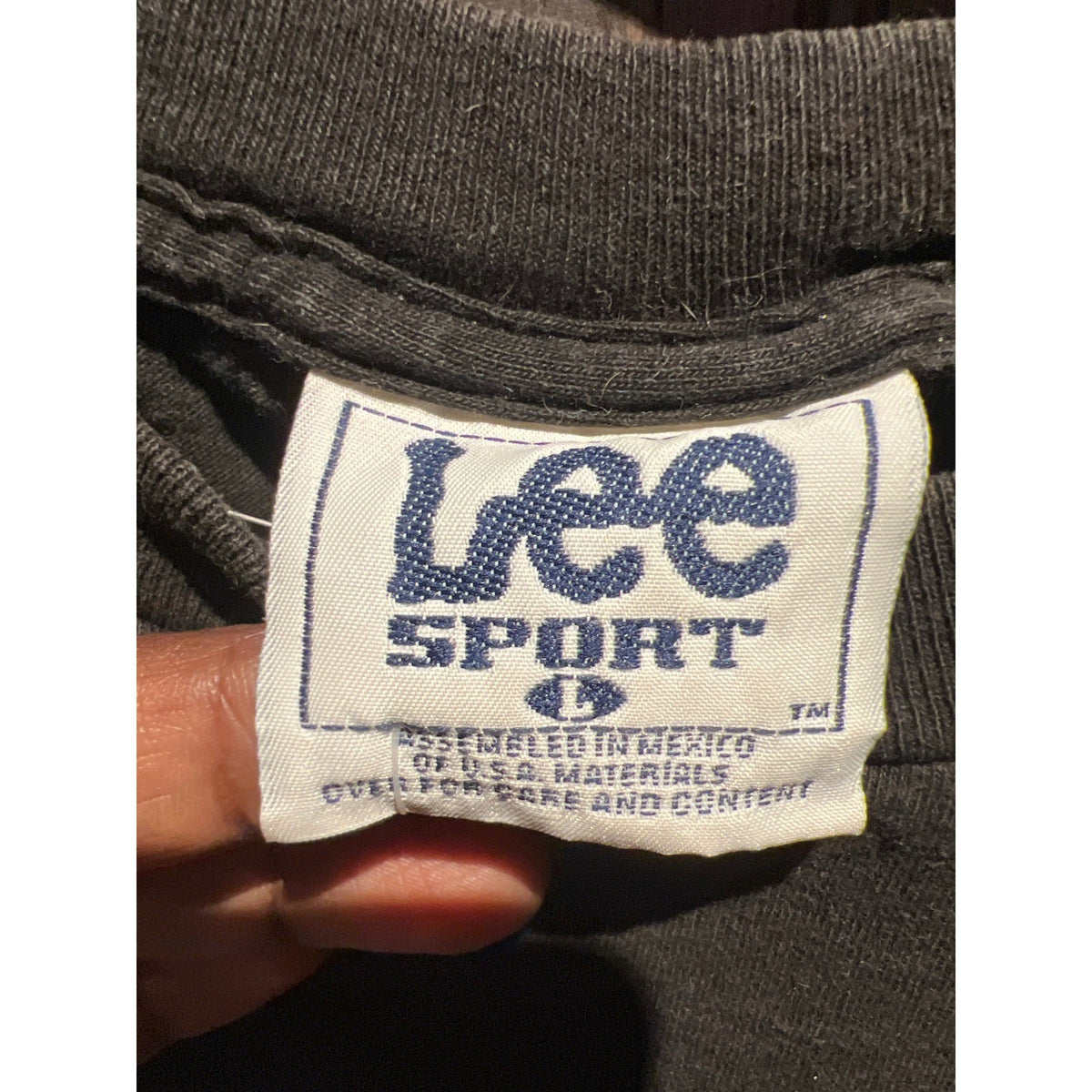 Vintage Lee Sport Pittsburgh Steelers NFL Graphic T-Shirt Faded Black Large