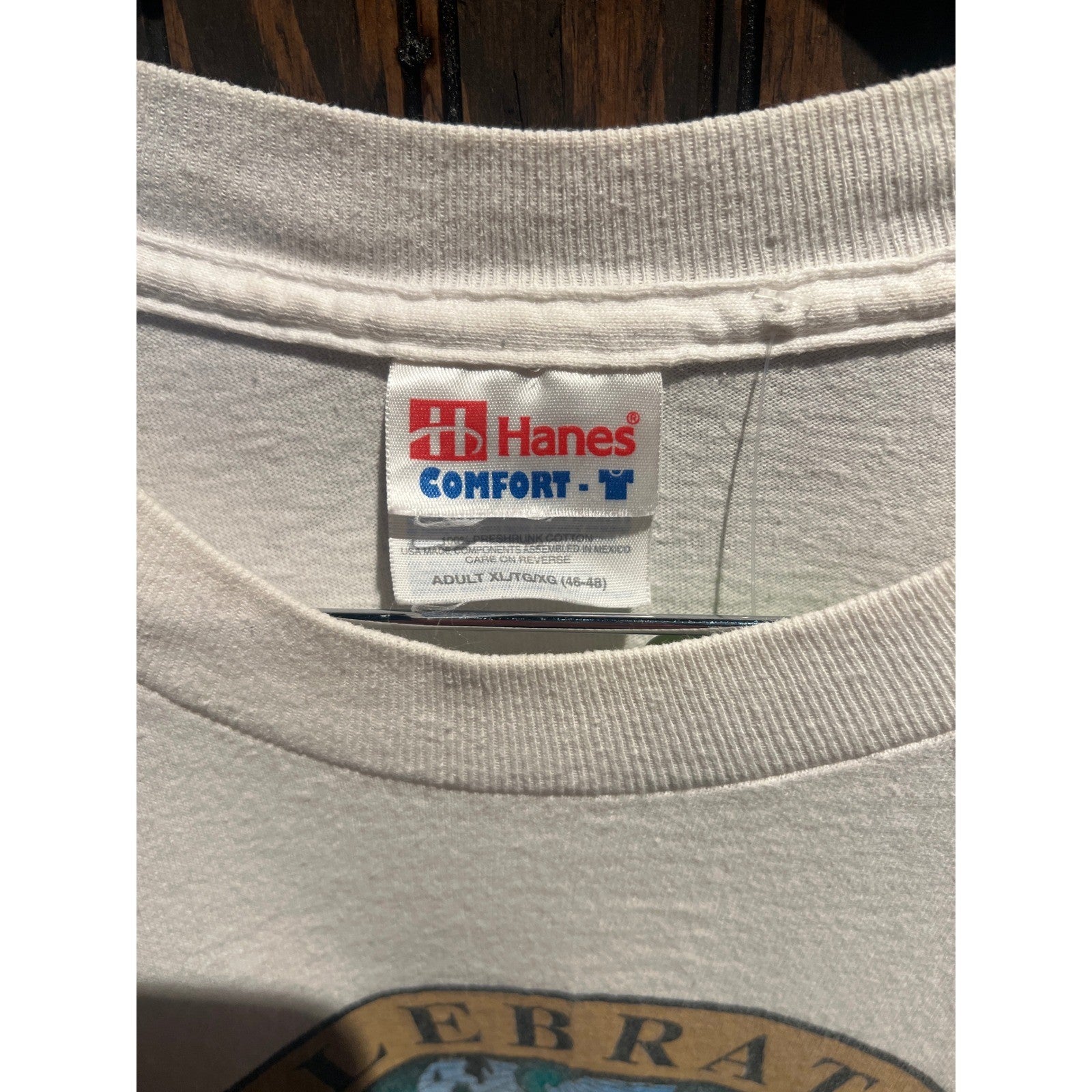 Vintage 90s Hanes Earth Day T-Shirt Single Stitch Cream Graphic Tee XL 30x24