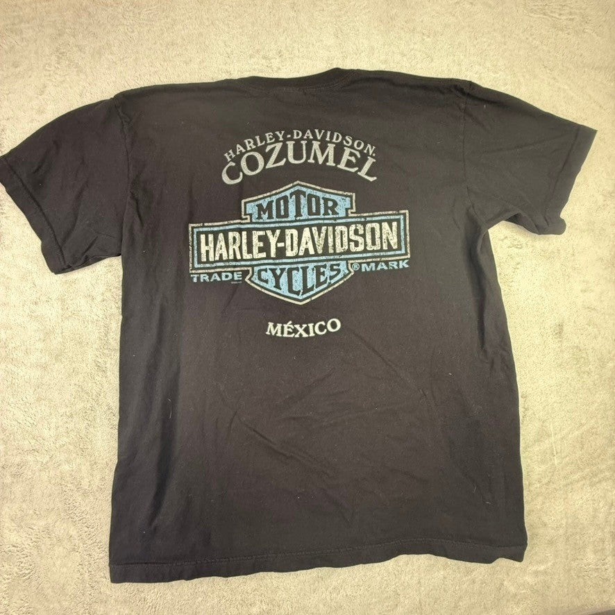 Harley Davidson Cycles Graphic T Shirt Men's 2XL Black Farm Motorcycle Gas Pump