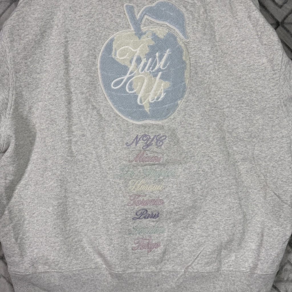 Kith "NY TO THE WORLD" Hoodie Gray XL – Pastel Chenille Letters, Rare